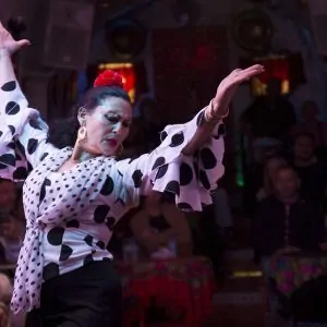 Sacromonte Caves Flamenco Show – Granada
