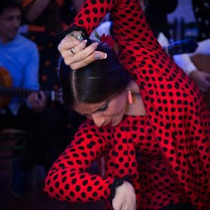 Flamenco show Granada Alternativa