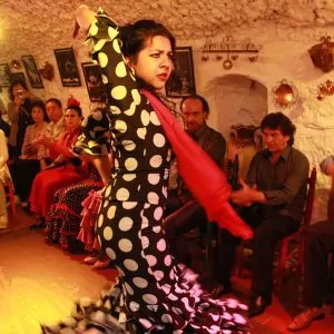 Sacromonte Caves Flamenco Show – Granada