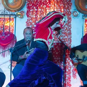 Sacromonte Caves Flamenco Show – Granada