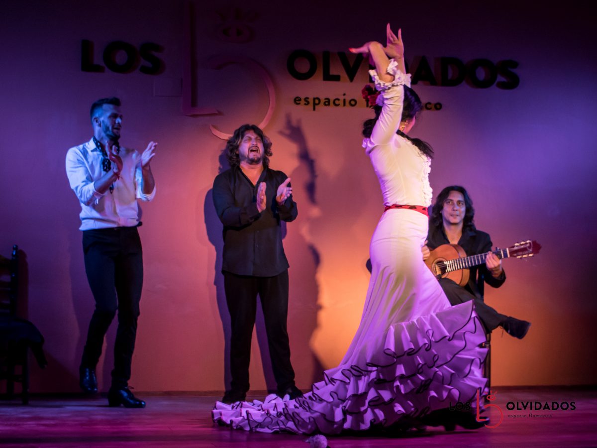 Flamenco show low cost