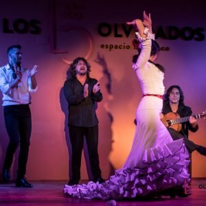 Flamenco show low cost