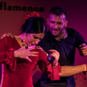 Flamenco show