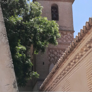 Visitas Privadas en Granada
