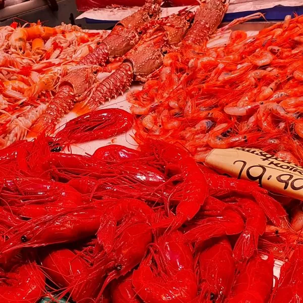 Tour Gastronomico